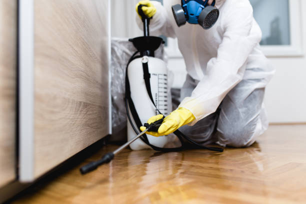 Best Bed Bug Extermination  in Mcgregor, FL