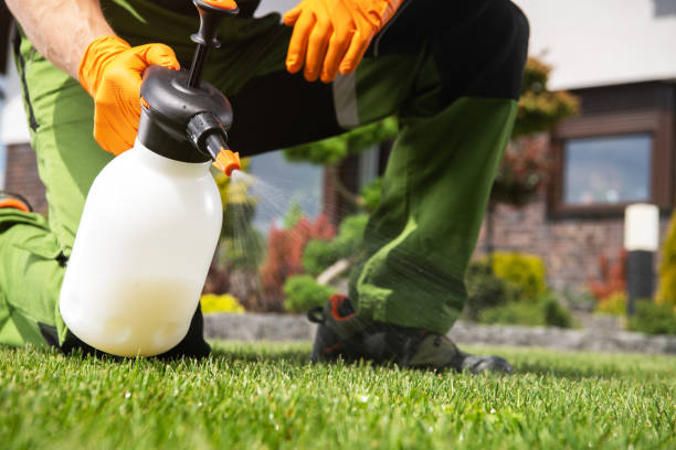 Best Affordable Pest Control Services  in Mcgregor, FL