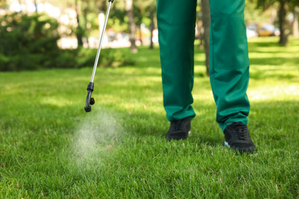 Best Pest Control for Homes  in Mcgregor, FL