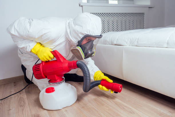 Best Mosquito Control Services  in Mcgregor, FL
