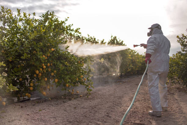 Best Pest Removal Services  in Mcgregor, FL
