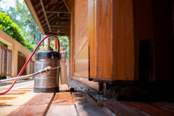 Best Best Pest Control Companies  in Mcgregor, FL
