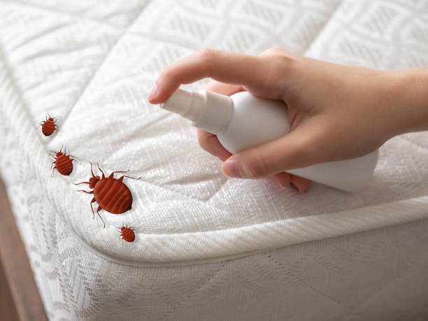 Best Pest Control Near Me  in Mcgregor, FL
