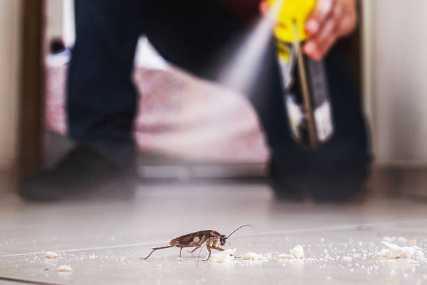 Best Pest Control for Businesses  in Mcgregor, FL